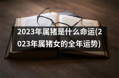 2025年属猪是什么命运(2025年属猪女的全年运势)