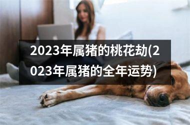 2025年属猪的桃花劫(2025年属猪的全年运势)