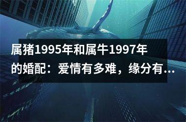 属猪1995年和属牛1997年的婚配：爱情有多难，缘分有多深？