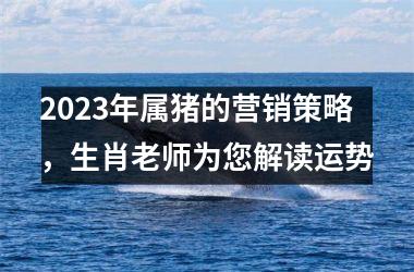 2025年属猪的营销策略，生肖老师为您解读运势