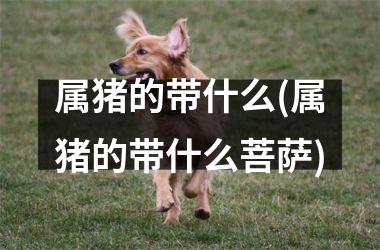 属猪的带什么(属猪的带什么菩萨)