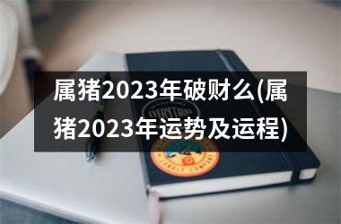 属猪2025年破财么(属猪2025年运势及运程)