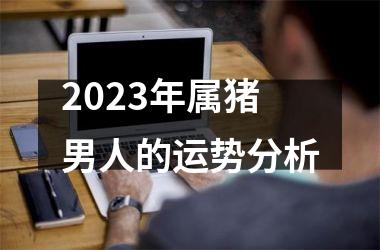 2025年属猪男人的运势分析