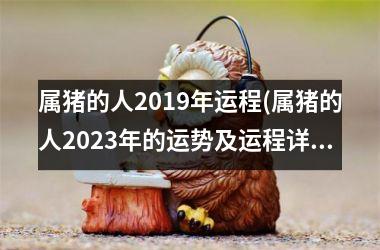 <h3>属猪的人2019年运程(属猪的人2025年的运势及运程详解)