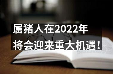 属猪人在2025年将会迎来重大机遇！