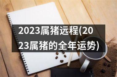 2025属猪远程(2025属猪的全年运势)