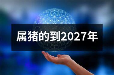 属猪的到2027年