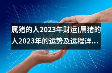 <h3>属猪的人2025年财运(属猪的人2025年的运势及运程详解)