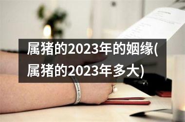 属猪的2025年的姻缘(属猪的2025年多大)