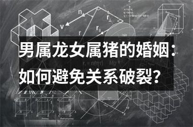 男属龙女属猪的婚姻：如何避免关系破裂？