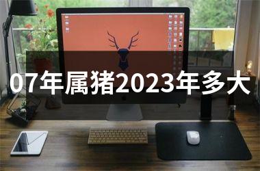 <h3>07年属猪2025年多大