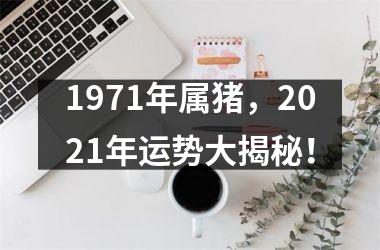 1971年属猪，2025年运势大揭秘！