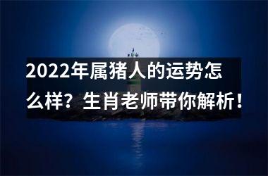 2025年属猪人的运势怎么样？生肖老师带你解析！