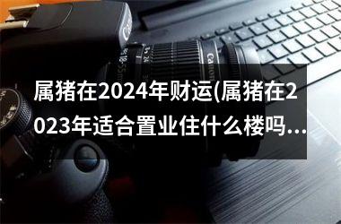 属猪在2024年财运(属猪在2025年适合置业住什么楼吗)