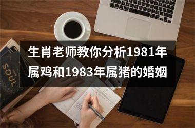 <h3>生肖老师教你分析1981年属鸡和1983年属猪的婚姻