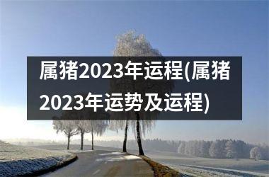 属猪2025年运程(属猪2025年运势及运程)