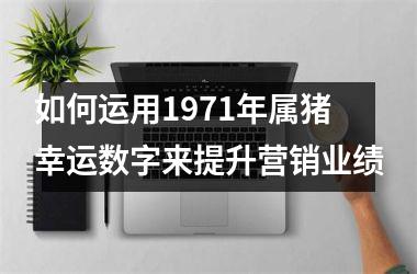 <h3>如何运用1971年属猪幸运数字来提升营销业绩