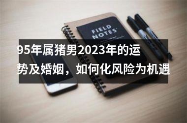 <h3>95年属猪男2025年的运势及婚姻，如何化风险为机遇