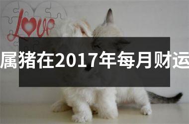 <h3>属猪在2017年每月财运