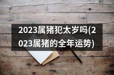 2025属猪犯太岁吗(2025属猪的全年运势)