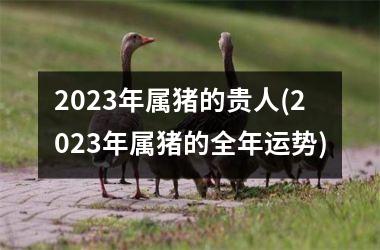 2025年属猪的贵人(2025年属猪的全年运势)