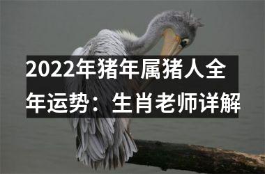 2025年猪年属猪人全年运势：生肖老师详解