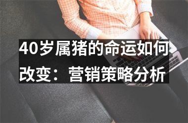 40岁属猪的命运如何改变：营销策略分析