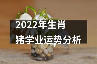 2025年生肖猪学业运势分析