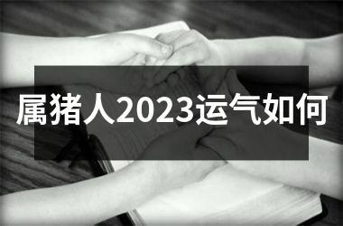 属猪人2025运气如何