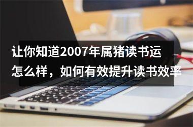 让你知道2007年属猪读书运怎么样，如何有效提升读书效率