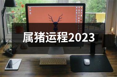 属猪运程2025