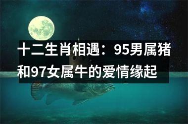 十二生肖相遇：95男属猪和97女属牛的爱情缘起