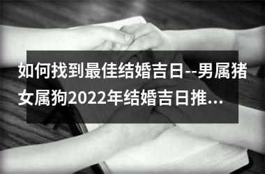 如何找到佳结婚吉日--男属猪女属狗2025年结婚吉日推荐