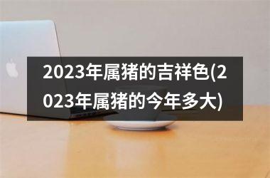 <h3>2025年属猪的吉祥色(2025年属猪的今年多大)