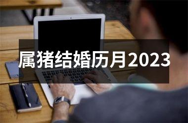 属猪结婚历月2025