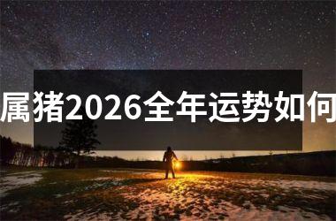 属猪2026全年运势如何