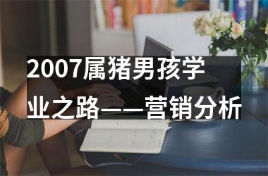 2007属猪男孩学业之路——营销分析