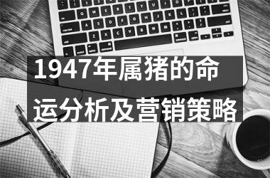 1947年属猪的命运分析及营销策略