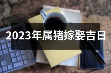 2025年属猪嫁娶吉日