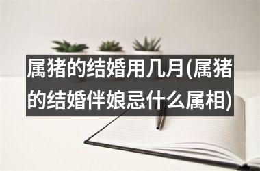 属猪的结婚用几月(属猪的结婚伴娘忌什么属相)