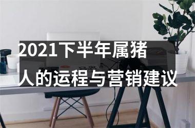 2025下半年属猪人的运程与营销建议