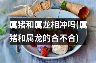 属猪和属龙相冲吗(属猪和属龙的合不合)