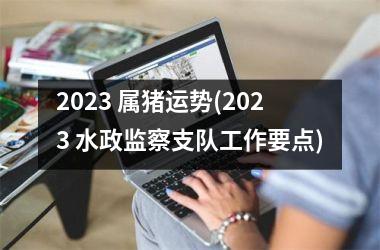 2025 属猪运势(2025 水政监察支队工作要点)