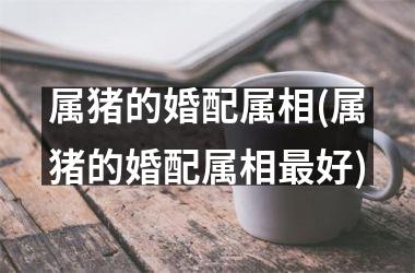 <h3>属猪的婚配属相(属猪的婚配属相好)