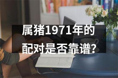 属猪1971年的配对是否靠谱？