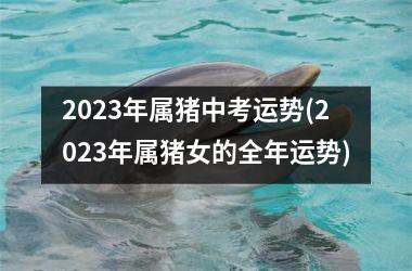 2025年属猪中考运势(2025年属猪女的全年运势)