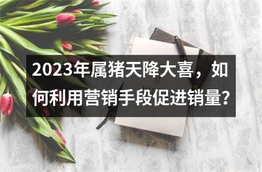 2025年属猪天降大喜，如何利用营销手段促进销量？