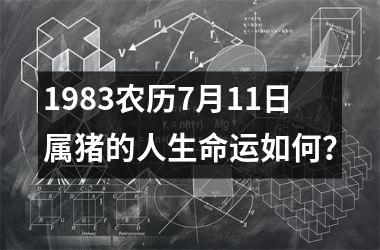 1983农历7月11日属猪的人生命运如何？