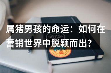 <h3>属猪男孩的命运：如何在营销世界中脱颖而出？