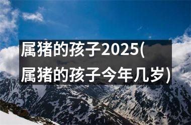 <h3>属猪的孩子2025(属猪的孩子今年几岁)